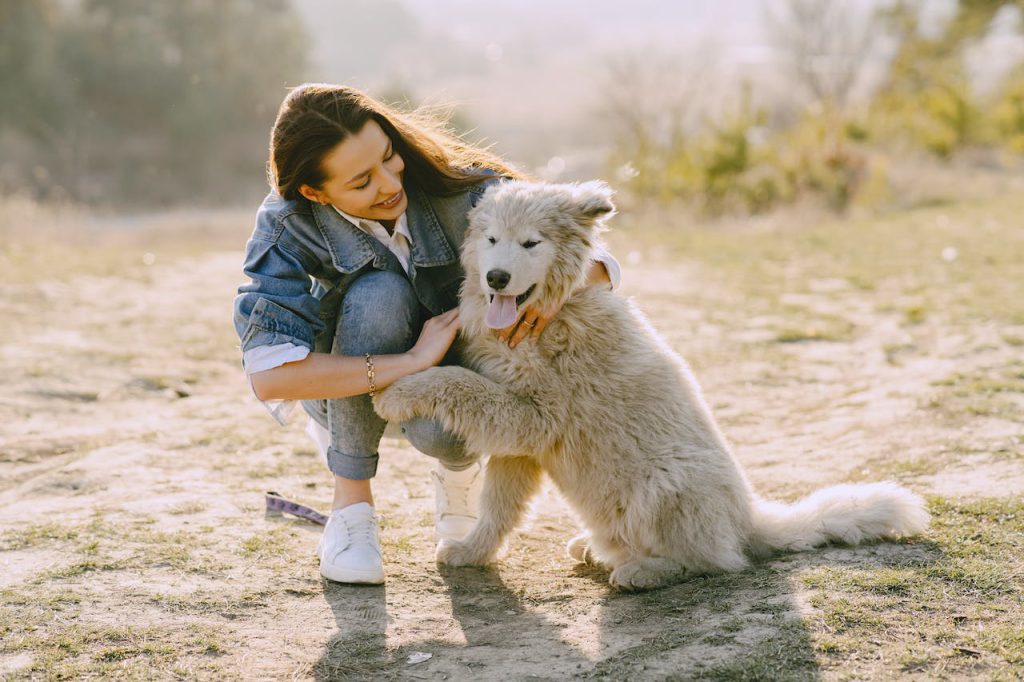 jak nauczyć psa podawać łapę